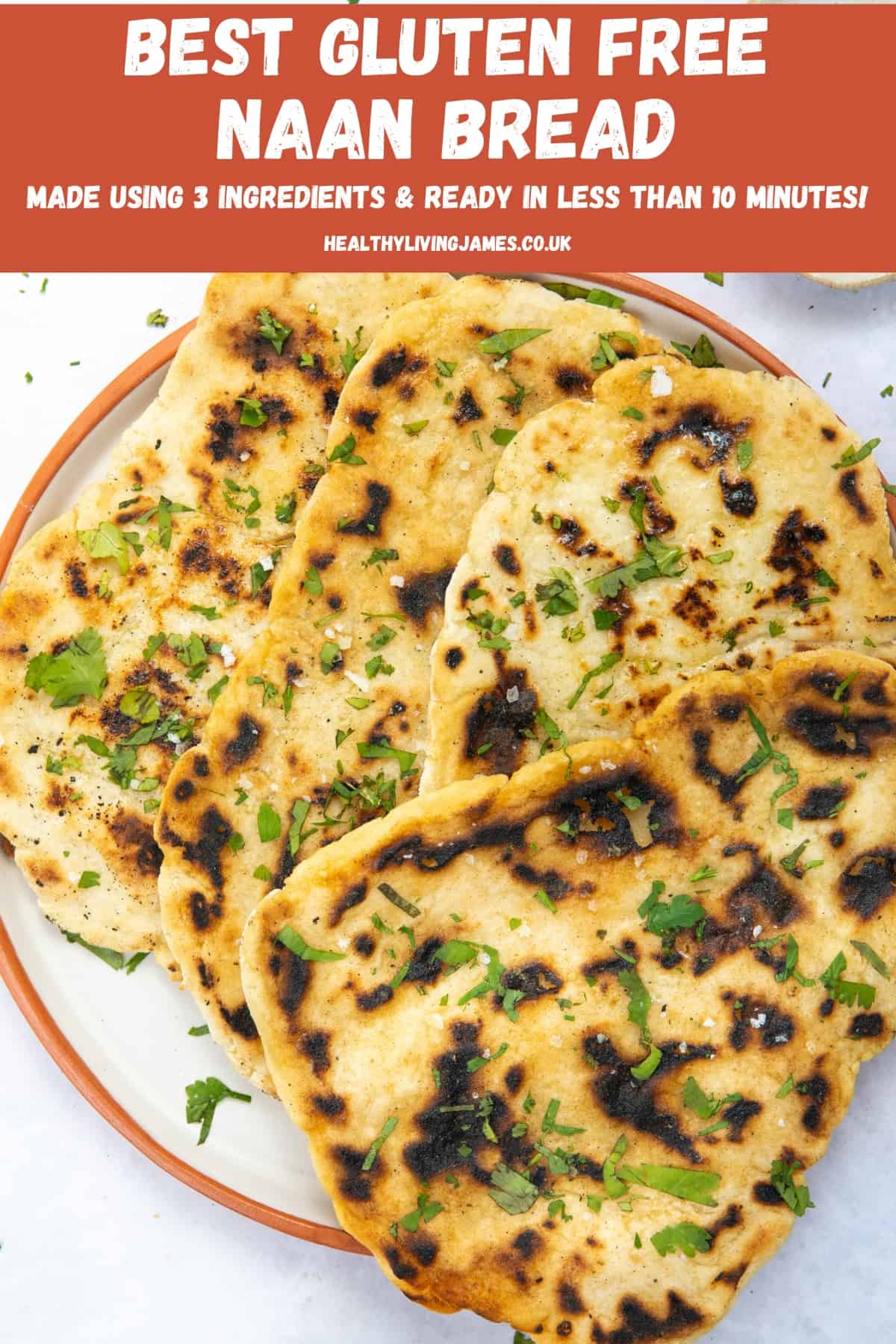 Best Gluten Free Naan Bread Healthy Living James