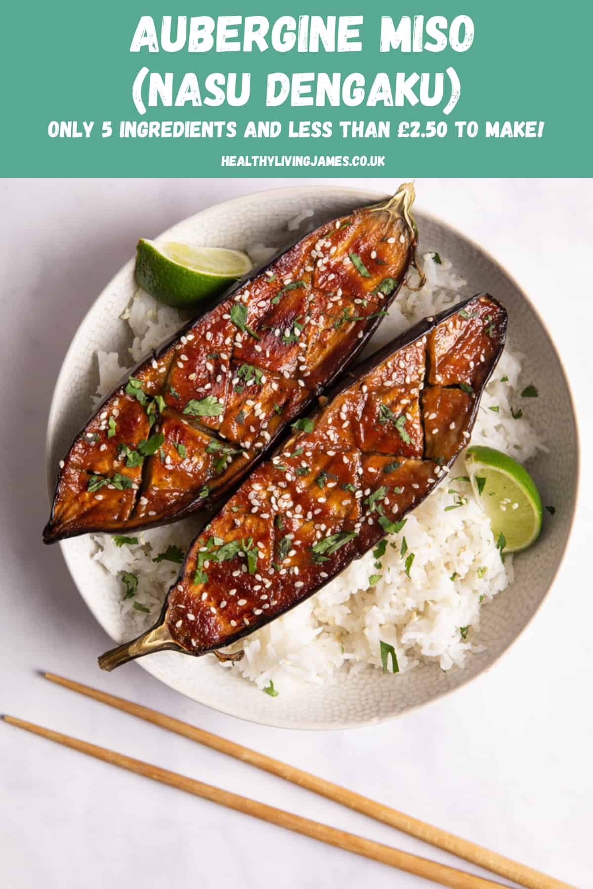 The BEST Aubergine Miso (Nasu Dengaku) Healthy Living James