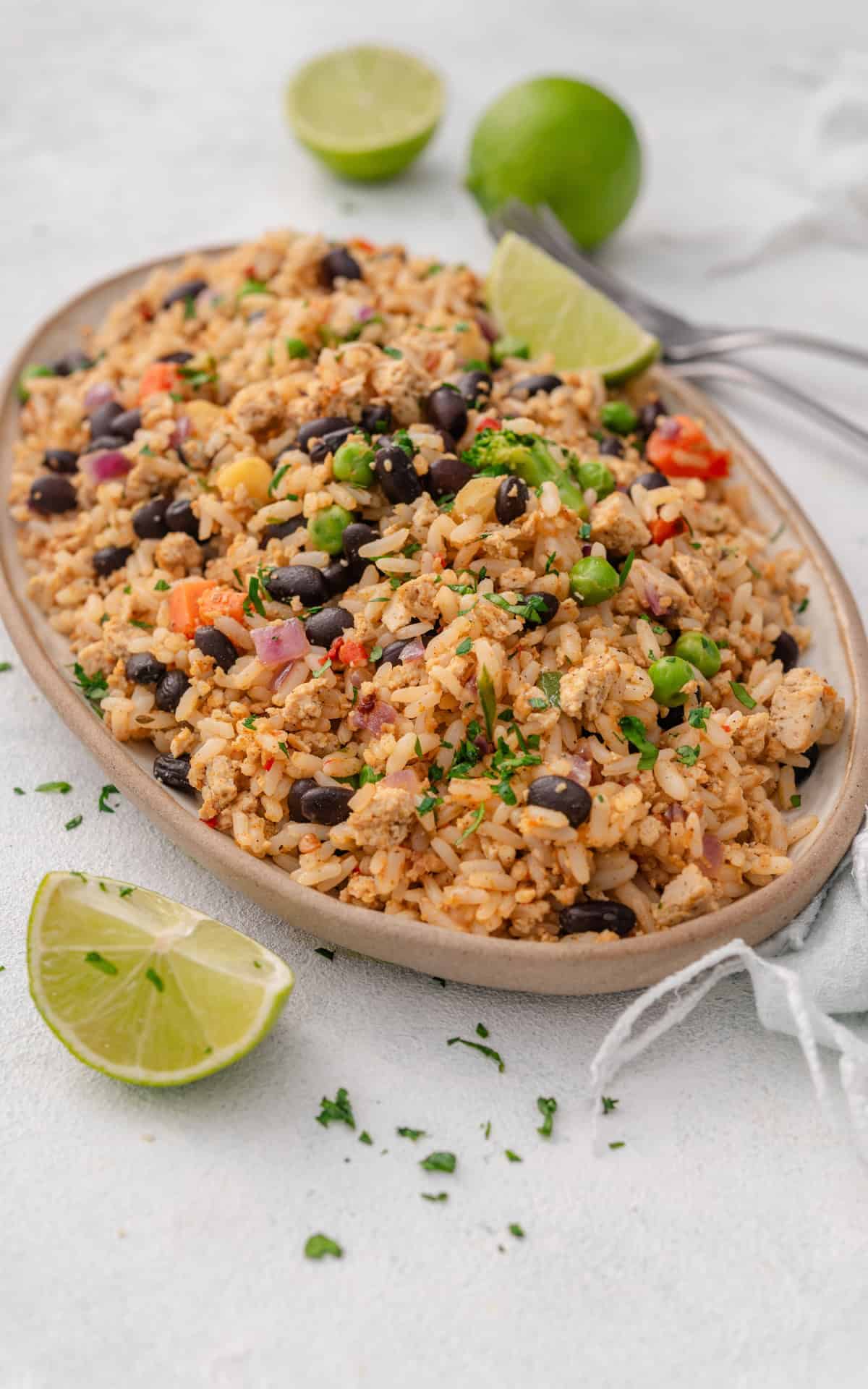 Tofu Fajita Fried Rice