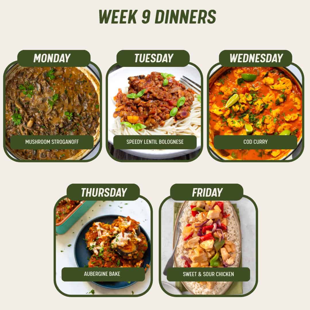 Week 9 Dinners - 9/3/26