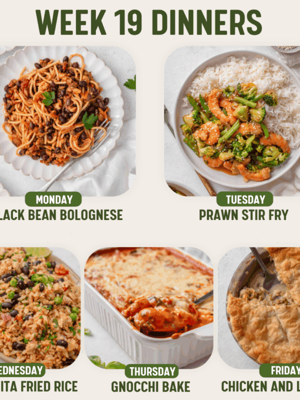 Week 19 Dinners meal plan