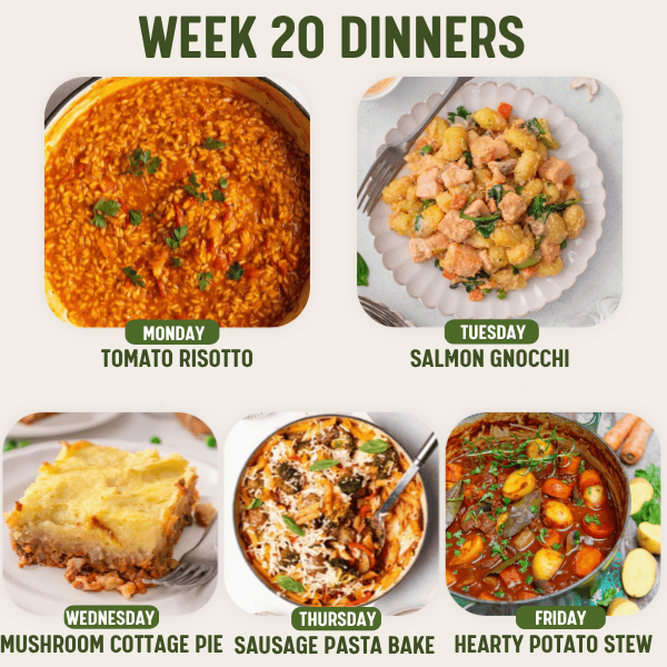 Week 20 Dinners meal plan