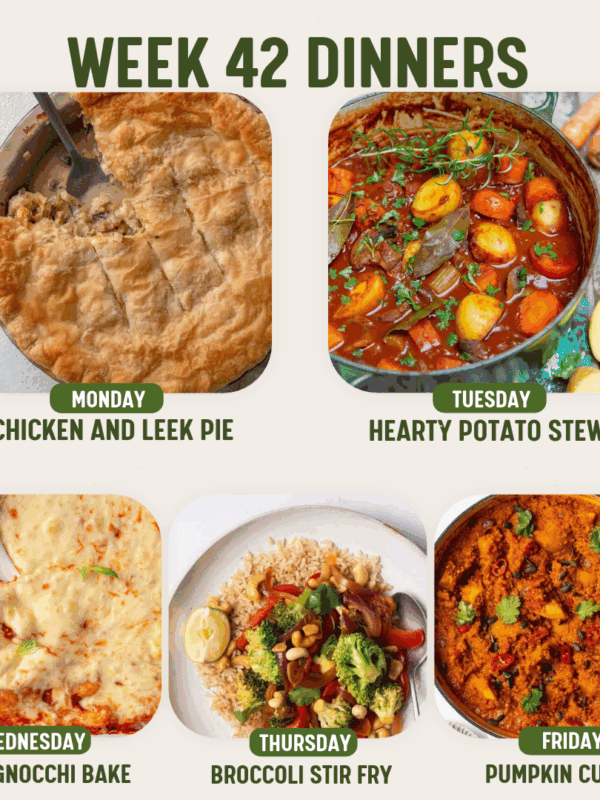Week 42 Dinners meal plan