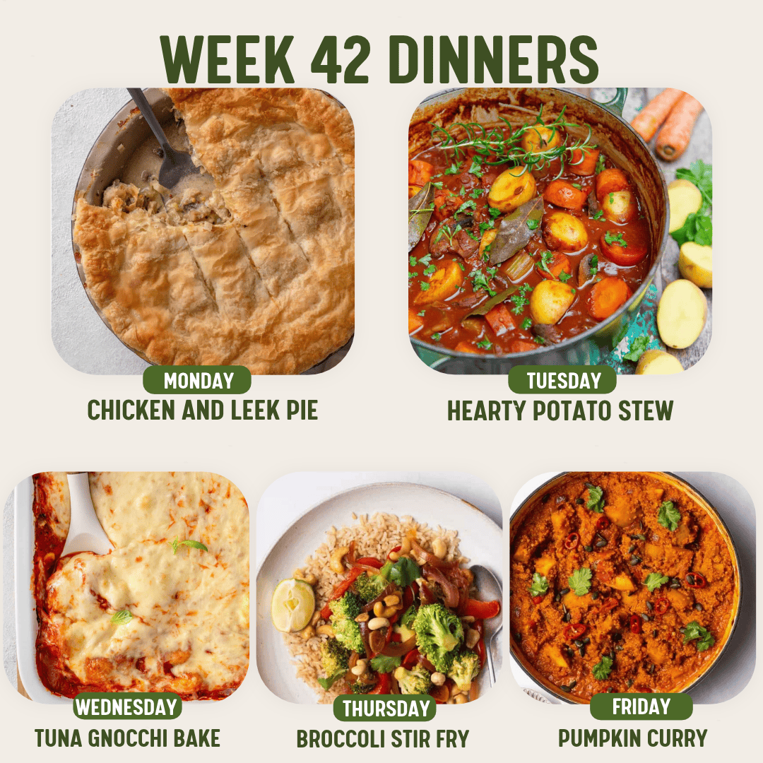 Week 42 Dinners meal plan