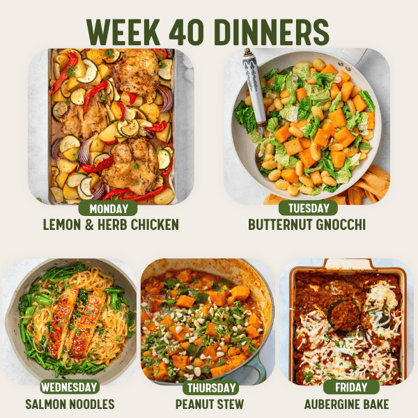 Week 40 Dinners meal plan